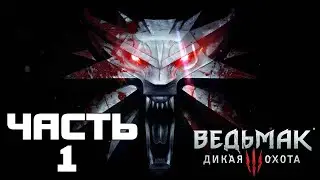 Прохождение Ведьмак 3: Дикая Охота (The Witcher 3: Wild Hunt) — Часть 1: Каэр Морхен