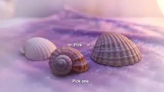 Pick One… 🐚 ASMR Shell Loop with Whisper Trigger | Calming Macro Aesthetics