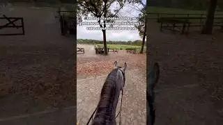 Letting my stallion take me wherever he wants 👀 