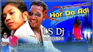Hor do adi jiling geya | Santali New Dj Song 2020 | Santali Snack video dj song 2020 | LS Dj Santali