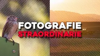 Composizione FOTOGRAFICA: Creare Immagini STRAORDINARIE