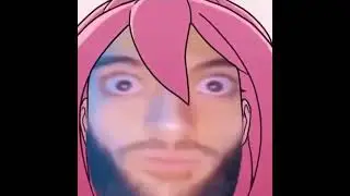 Wake up Wake up Wake up