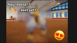 ⚠️Dutch warm blood spoiler !!!⚠️ MUST WATCH ✨