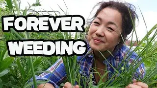 Ep18 I'm still weeding!!! Help!! /Allotment for beginners