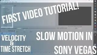 First Video Of SV 13- Slow-Motion (Velocity, Time Stretch)