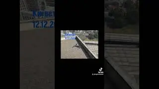 Київстар kyivstar
