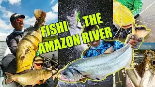 Fishing the Amazon River for predators such as 16lb peacock bass, Vampire fish, and Giant Catfish