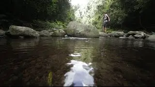 Gold Coast Hinterlands Exploration