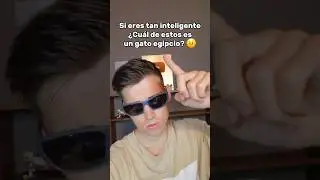 Cuál es un g4to egipcio? 🤨 