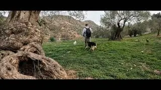 Fototrampeo febrero 2024  #almogia #malaga #fauna #fototrampeo