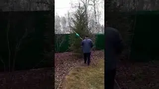 Стрижка сада