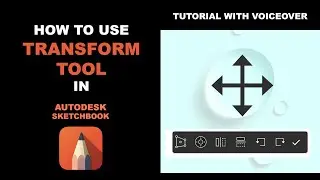 Transform tool | How to use Transform tool|  Autodesk sketchbook Mobile | 