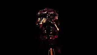 24-Carat Black - Poverty's Paradise