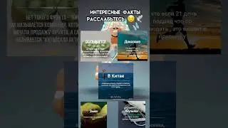 Интересные факты 😌 #вреки #рек #roblox #жиза #рофлы #няшки #bp #факты #пустиврек #говрек #netflix