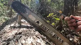How to sharpen a chainsaw