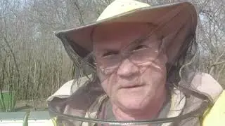 5 марта 2020г. Первые потери зимовки. Матка трутовка.