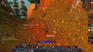 Vanilla WoW Quest Blood Feeders(Deepmoss Spider Eggs)