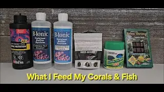 What I Feed My Corals and Fish