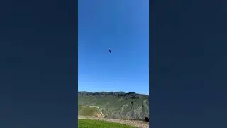 Полёт орла над селом Чох 🦅 