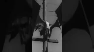 Лежала с отрезанными частями тела