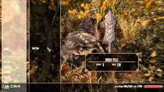 Skyrim Mod Let's Play - Falskaar Part 1