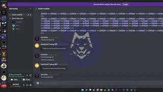 Discord Recording Bot.