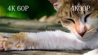 [TEST] 4K60P vs 4K30P