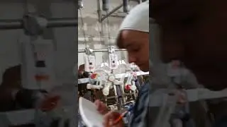 Доильный зал для коз с индивидуальной идентификацией животных.