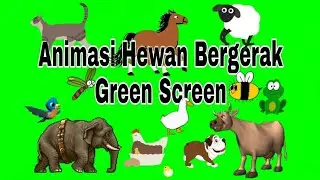 Animasi Hewan Bergerak Green Screen
