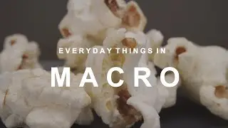 EVERYDAY Objects & Things In MACRO Close Up