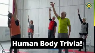 Health and Human Body Trivia!  10 Questions to Test Your Knowledge