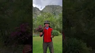 АПТЕКА У НАС ПОД НОГАМИ