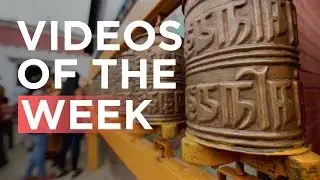 May 19-26 Videos of the Week | Newzulu