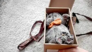 Кот Басик\Распаковка