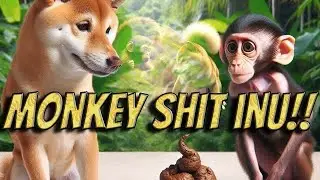 BUYER BEWARE: Monkey Shit Inu..watch before you buy this SH*T COIN!! #crypto #msi #memecoins