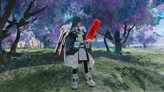 PSO2:NGS - Duel Quests - Te/Sl Wand only.