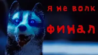 Я НЕ ВОЛК 10 СЕРИЯ 3 СЕЗОН // ФИНАЛ \\ шляйх сериал про Волков
