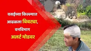 #vasai