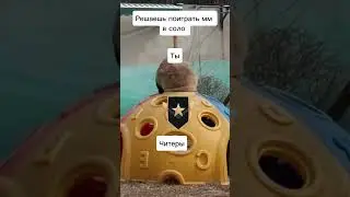 Когда читеры не дают апнуть звание (Standoff 2)