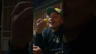 Durian Super Mendoan Purwokerto #duriantraveler