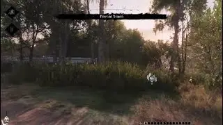 Hunt Showdown Last Bullet