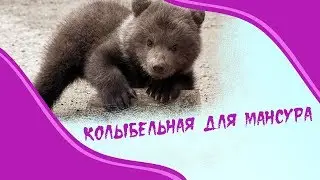 Колыбельная для Мансура