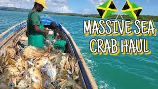 60LBS OF SEA CRABS CATCH IN ONE HAUL!! MASSIVE CATCH