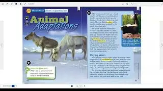 Extract Text from Images Using Windows 11 Snipping Tool!