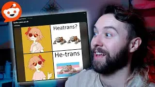 🔴 Trans Memes - Reddit & Chill
