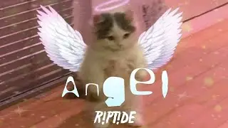 R!PT!DE - Angel (Future Riddim Clip)