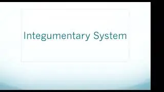 HESI A2 Exam: Integumentary System