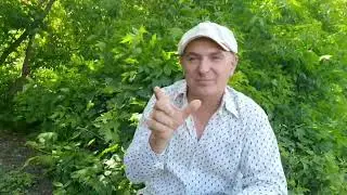 Стройка цыплятника и рассказы. #ржя #deaf