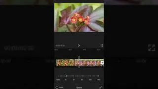 How to use capcut apk | using capcut