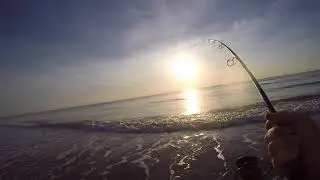 “Sprinting for Snook” Summer Space Coast Surf Fishing